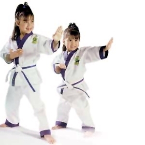 kids karate presence