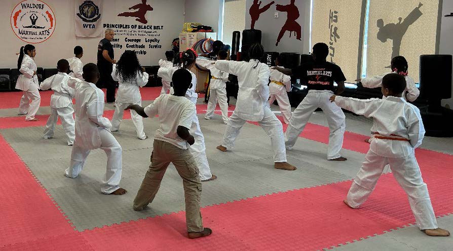 Summer Karate Class Special class pic